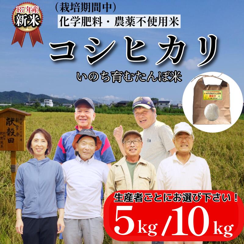 【ふるさと納税】 【令和7年産新米】米 コシヒカリ 5kg/10kg 天皇献上米 (栽培期間中）化学肥料・農薬不使用米 白米 精米 お米 こめ ご飯 予約 備蓄米 ごはん 新米 環境 に優しい 送料無料 産地直送 徳島県 小松島市 上王子特質米 5kg 10kg