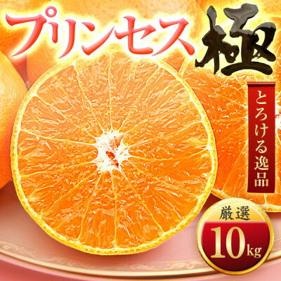 【ふるさと納税】「新品種!!」【甘平×まどんな】愛果48号(紅プリンセスと同品種)【極】10kg【H49-93】【1621805】