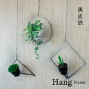 【ふるさと納税】GRAVIRoN Hang Plants シリーズ プランツハンガー (黒皮鉄) Triangle/Diamond/Round 3種 セット ハンギングプランツ プランター ハンギング エアプランツ 吊るす 植物ホルダー 観葉植物 インテリア 金属製 おしゃれ モダン 日本製 送料無料