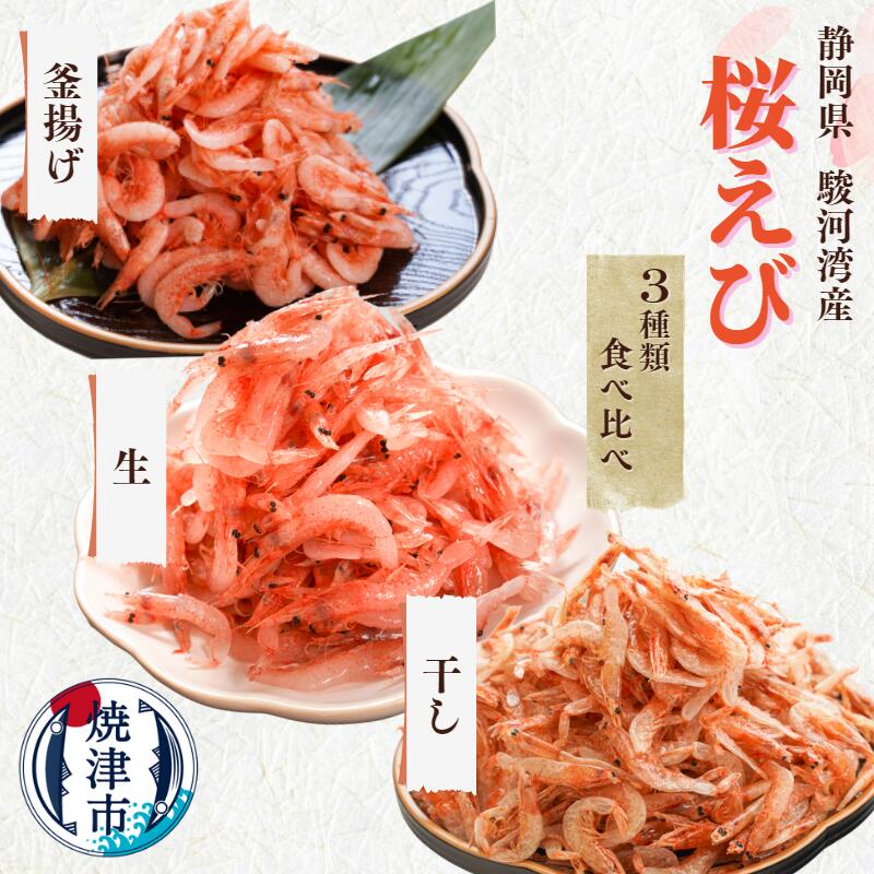 【ふるさと納税】 定期便 3回 桜えび 冷凍 天然 焼津 特選桜えび 3種類 食べ比べ 生 釜揚げ 干し セット b100-049