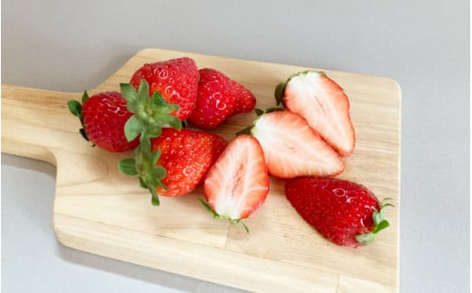 【先行予約】まりひめ いちご 12粒～15粒入り×2パック（500g）2026年1月中旬～2026年3月中旬頃に順次発送予定（お届け日指定不可）/ いちご 苺 まりひめ 和歌山 フルーツ 果物 くだも