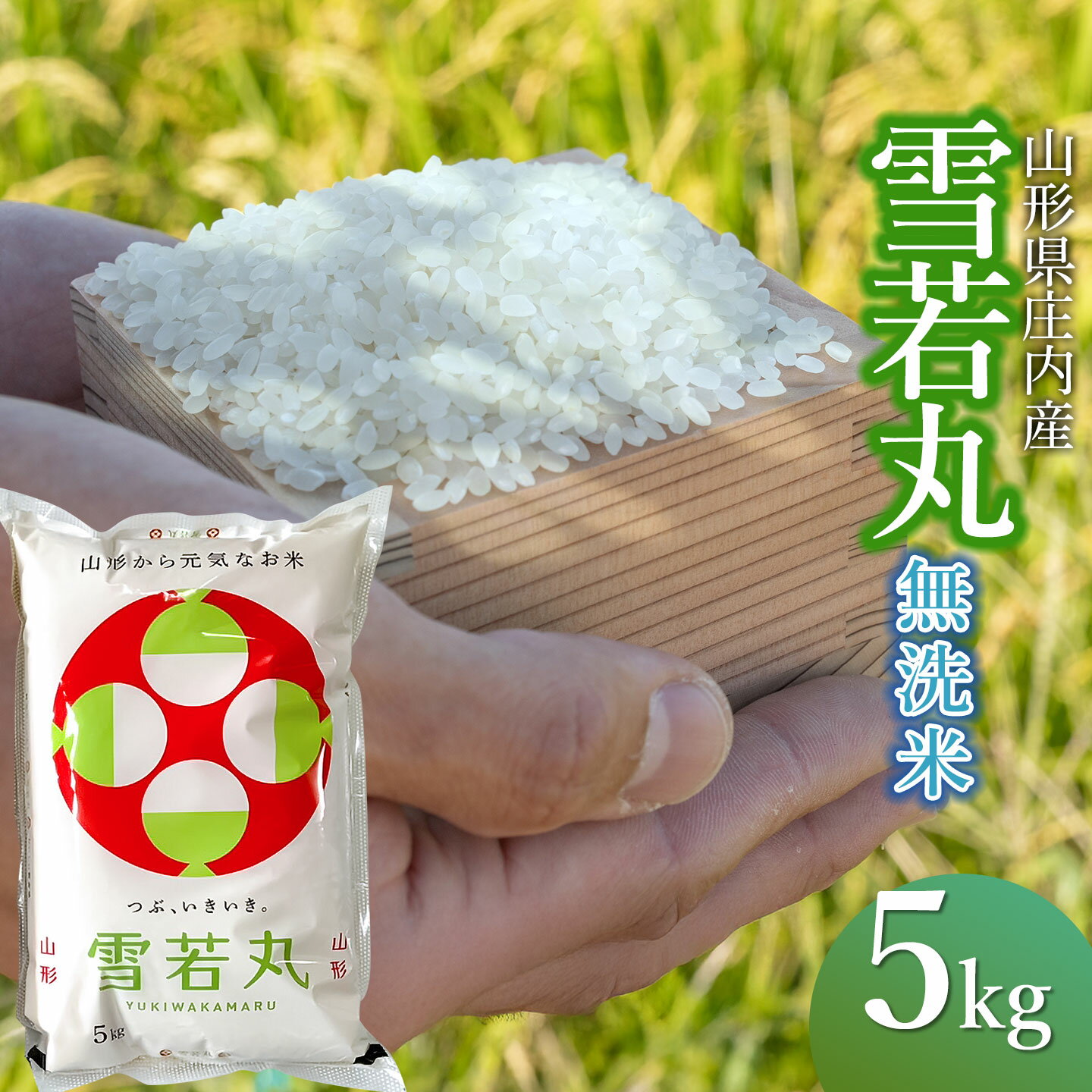 【ふるさと納税】令和7年産　馬町さくらファームの 雪若丸　無洗米 5kg×1袋　K-745 | 山形県 鶴岡市 精米 白米 ご飯 ごはん