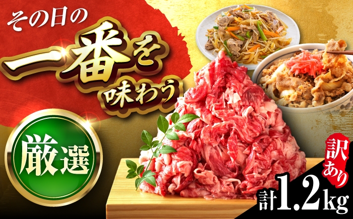 
                  【訳あり】博多和牛 切り落とし 1.2kg (600g×2パック) 吉富町/株式会社MEAT PLUS [BGAB055] 国産 和牛 ブランド牛 切り落とし 赤身 小分け きりおとし 国産牛 切りおとし 訳アリ わけあり 福岡 おすすめ 肩 バラ 福岡県
                