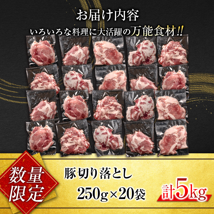 CD61-24_小分けで便利 数量限定 豚 切り落とし 計5kg お肉 豚肉 ポーク 国産 小分け 真空パック 個包装 万能食材 おすすめ おかず 食品 炒め物 豚丼 豚しゃぶ しゃぶしゃぶ 焼肉_イ