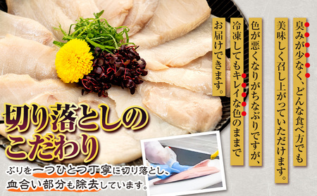 【訳あり】ブリ切り落とし約2kg南予ビージョイ訳あり|D021-150008