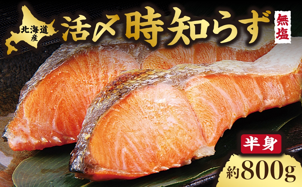 
                  【先行受付】活〆 時しらず 鮭切身 無塩 天然 半身 800g 小分け 頭なし 知床斜里産 切り身 
                