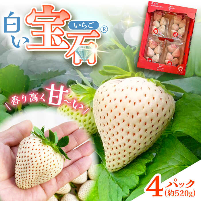 【ふるさと納税】白い宝石（自宅用）約520g（約130g×4パック） / いちご 苺 白いちご フルーツ 果物 / 佐賀県 / 手島農園 [41ABAB003]