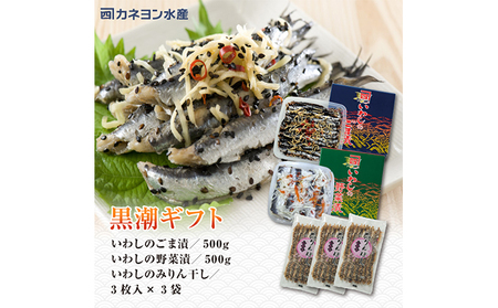 漬魚 いわし 黒潮セット みりん干し おかず 漬魚