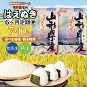 【ふるさと納税】【令和7年産 先行予約】【6ヶ月定期便】鶴岡協同ファームの特別栽培米 はえぬき 【選べる容量・精米種類】7kg・10kg　精米・無洗米　山形県鶴岡市産