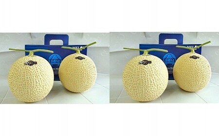  【通年出荷】 最高級 温室 アローマメロン 山級 ４玉 温室 甘い　贈答品 フルーツ 静岡県 牧之原市 牧之原うまいもん食楽部