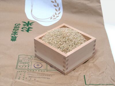【数量限定】青森県鰺ヶ沢町【令和6年産・新米】 あさゆき〔玄米〕30kg（30kg×１袋）　※令和6年10月下旬頃から順次出荷予定