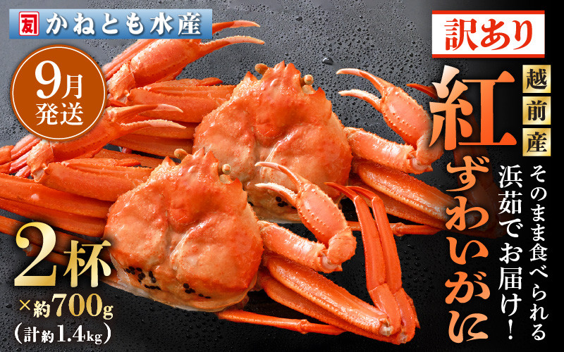 
            【訳あり】≪浜茹で≫越前産 紅ずわいがに 約700g × 2杯 食べ方しおり付【紅ズワイガニ カニ かに 蟹 姿 ボイル 冷蔵 福井県】【9月発送分】 [e14-x025_09] 
          