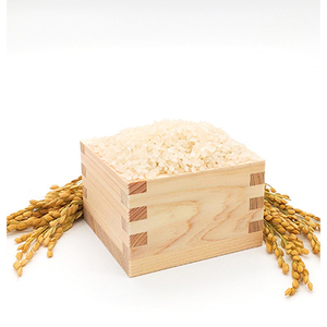 【毎月定期便】【南信州高森産】コシヒカリ精米10kg(5kg×2袋) 全6回