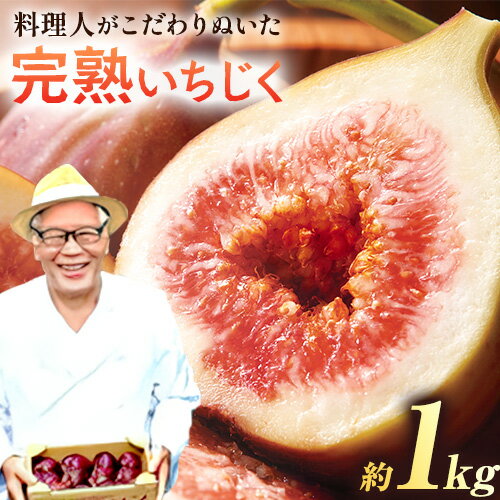 【ふるさと納税】【2025年先行予約】料理人がこだわりぬいた 完熟いちじく1箱 約1kg ／ 無花果 イチジク 桝井ドーフィン はびいち農園《2025年8月上旬-10月中旬頃出荷》大阪府 羽曳野市 果物 フルーツ 送料無料 大阪府