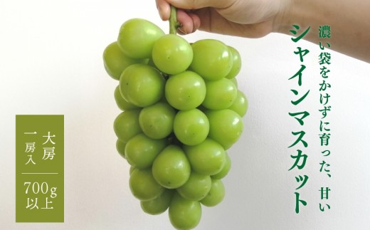 
                  【きよとうファーム】数量限定！大粒シャインマスカット厳選品１房 /700g以上 (岡山県産) 【KF-B013-03】
                