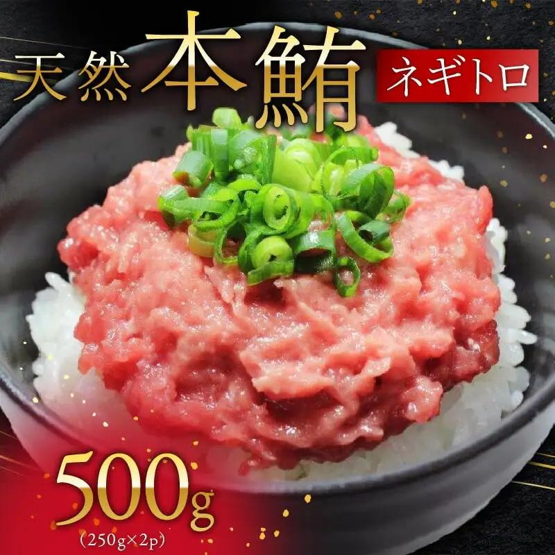 天然 本鮪 ネギトロ 250g×2パック M007-005 冷凍 マグロ