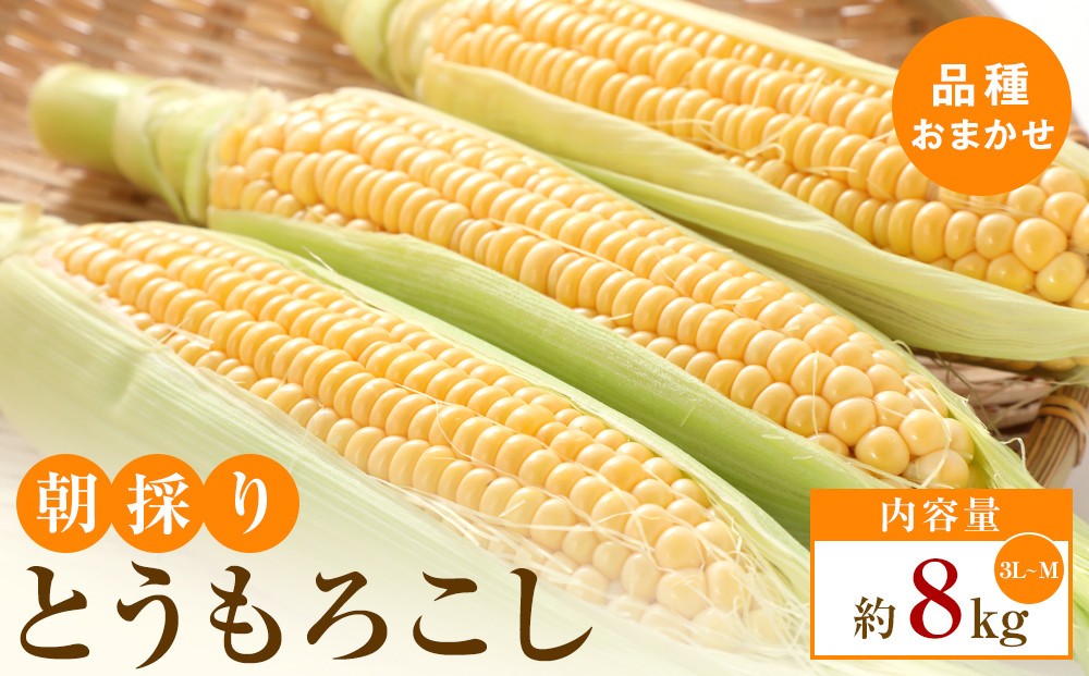 
                  【5月31日までの期間限定価格】朝採り とうもろこし(品種おまかせ)約8kg
                