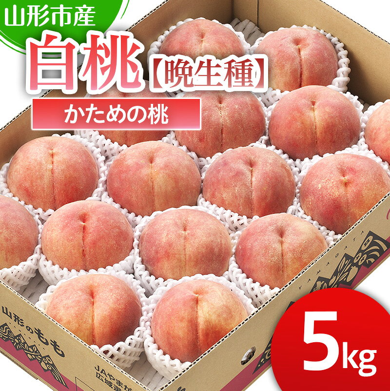 【ふるさと納税】山形市産 白桃 【晩成種】「伊達白桃・白根白桃・伊達白桃」かための桃5kg 12～18玉【令和8年産先行予約】FS25-129