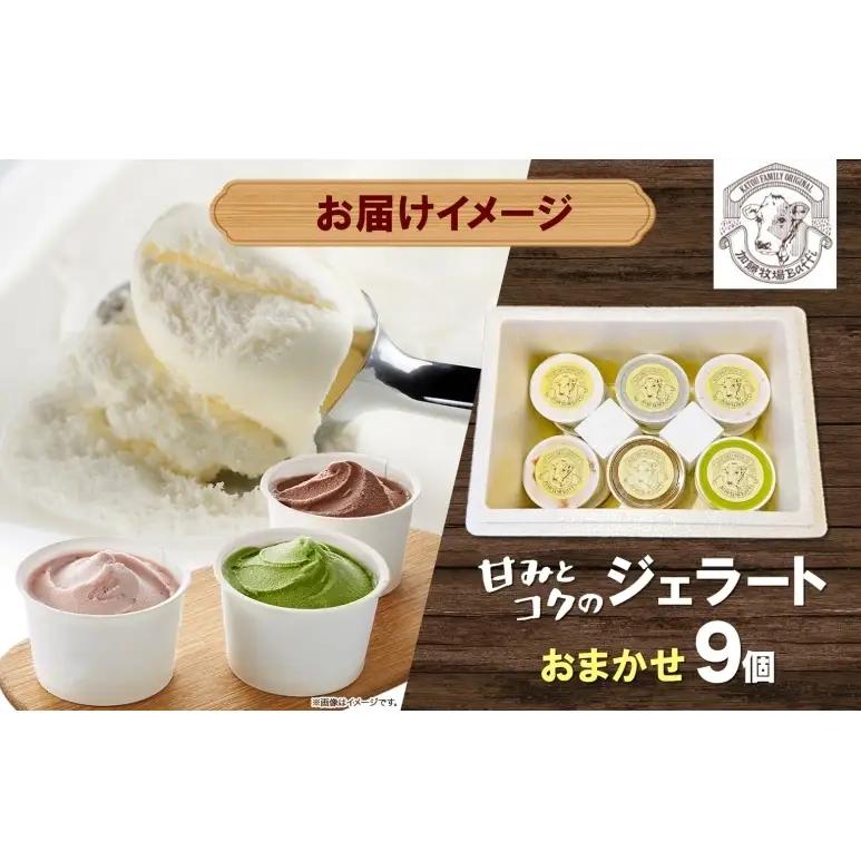 ジェラート加藤牧場ノンホモ低温殺菌牛乳ジェラート【9個】【冷凍】