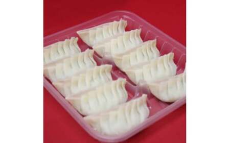 手作り冷凍餃子 50個 (23g×10個入り 5パック)定期便 全3回 餃子 ぎょうざ 手作り おかず おつまみ 人気 グルメ 冷凍 食品 関東 F5K-528