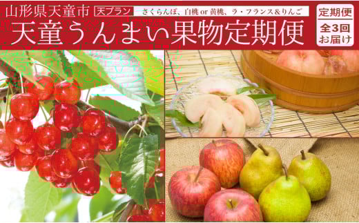 08-06-029　天童うんまい果物定期便(天プラン)全3回
