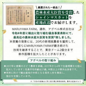 【発送月固定定期便】【農林水産大臣賞受賞!!】山梨のシャインマスカット1房0.5kg以上全2回【配送不可地域：離島】【4064095】