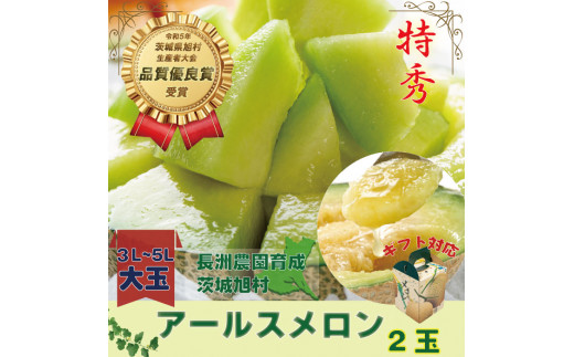 【特秀】アールスメロン 2玉（3.0kg）茨城旭エメラルド