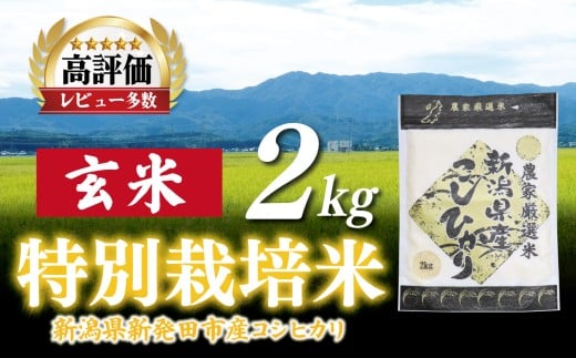 【最短7日発送】コシヒカリ 玄米 2kg 令和7年産 特別栽培米 こしひかり 米 お米 こめ 新潟米 新潟県産 新潟産 新潟 新潟県 新発田産 新発田 新発田市 斗伸 toushin057