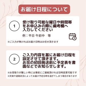 《数量限定・花瓶付き》～スタンダードstyle～季節の花束定期便（全12回）月1回お届け【 花 お花 神奈川県 小田原市 】