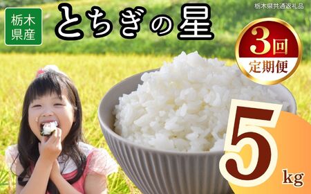 【3回定期便】栃木県産 とちぎの星 5kg | 栃木県 下野市