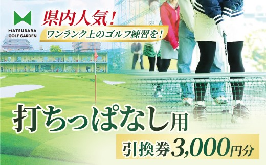 打ちっぱなし用プリペイドカード 3,000円分 引換券 | ゴルフ 利用券 打ちっぱなし 練習 プリペイド 3000円分 埼玉県 草加市