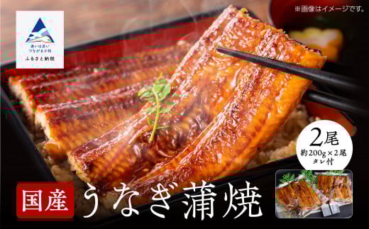 【真空パック】国産うなぎ蒲焼 約200g×2尾 かば焼き タレつき 関西風
