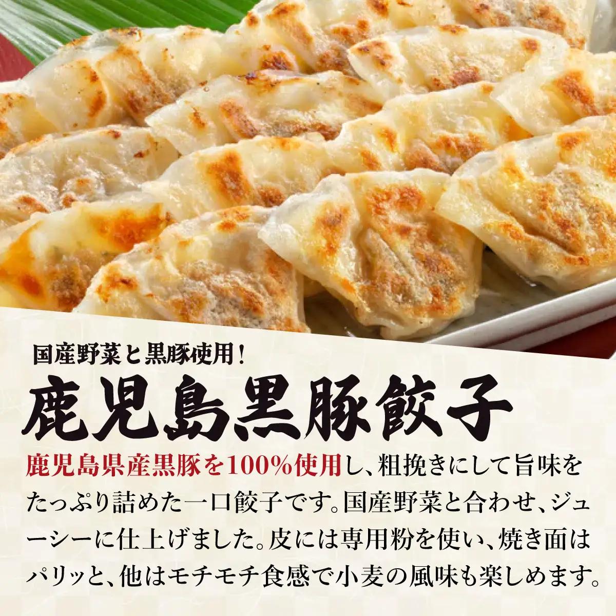 【ふるなびWEEK対象】芦屋 伊東屋 謹製 黒豚 一口餃子 40個（醤油タレ 付き）