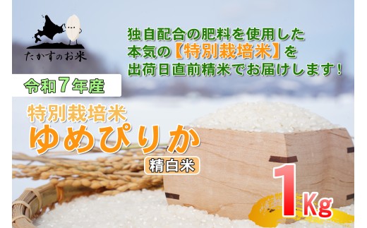 【令和7年産】 ゆめぴりか （精白米） 北海道 米 を代表する人気の品種 1kg ／ お米 米 ご飯 ごはん 北海道 鷹栖町 常温