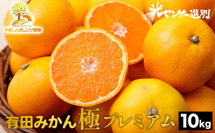 
            ＼光センサー選別／極 有田みかんプレミアム 10kg【光センサー 高糖度選別品】2S～Mの小玉サイズ 有機質肥料100% | 光センサー選別 温州みかん みかん 高糖度 柑橘 果物 フルーツ 甘い◇※北海道・沖縄・離島への配送不可 ※2025年11月中旬～2026年1月上旬頃に順次発送予定
          