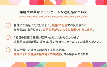 2色の小玉すいか 令和8年産 no-suwck2