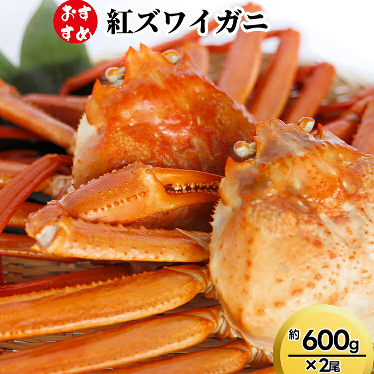 【ふるさと納税】【おすすめ】紅ズワイガニ約600g×2尾　ずわい蟹 ずわいガニ ズワイガニ 紅ズワイガニ ※2026年9月～発送