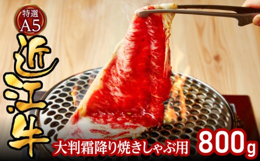 特選A5近江牛大判霜降り焼きしゃぶ用800g EG-0002