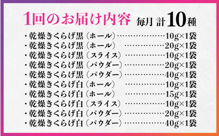 【全6回】きくらげ よくばりセット計10袋 きくらげ[XCB013]