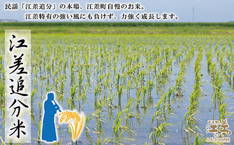 《早期予約》【令和6年産新米ななつぼし3か月定期便／毎月5㎏ 定期配送】低温保管新鮮米『箱入り娘　ななつぼし』令和6年秋収穫江差追分米　北海道江差町産　甘みと粘りの調和　北海道のおこめ　精米