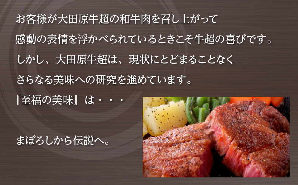 大田原牛 極上 赤身 ステーキ 2枚セット | ブランド牛 和牛 牛肉 赤身 高級 300g