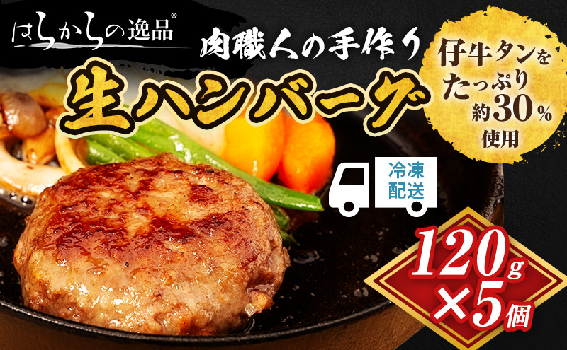 
            ハンバーグ 肉職人の手作り生ハンバーグ 5個 セット はらからの逸品 牛肉 豚肉 合い挽き 小分け 冷凍
          