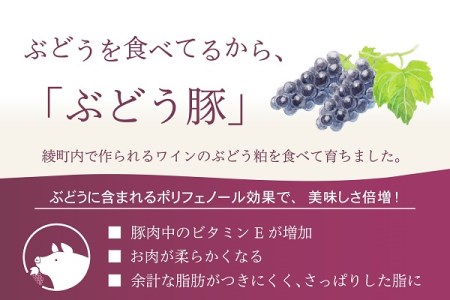 綾ぶどう豚のロースしゃぶしゃぶお試しセット（22-27）