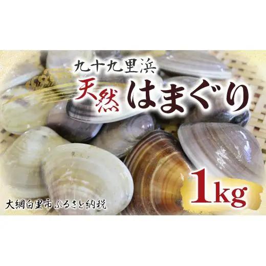 はまぐり　九十九里浜　天然はまぐり　1kg【厳選】 P001