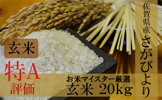 新米 予約受付 令和8年産 佐賀県産 厳選 さがびより 玄米 20kg D-12
