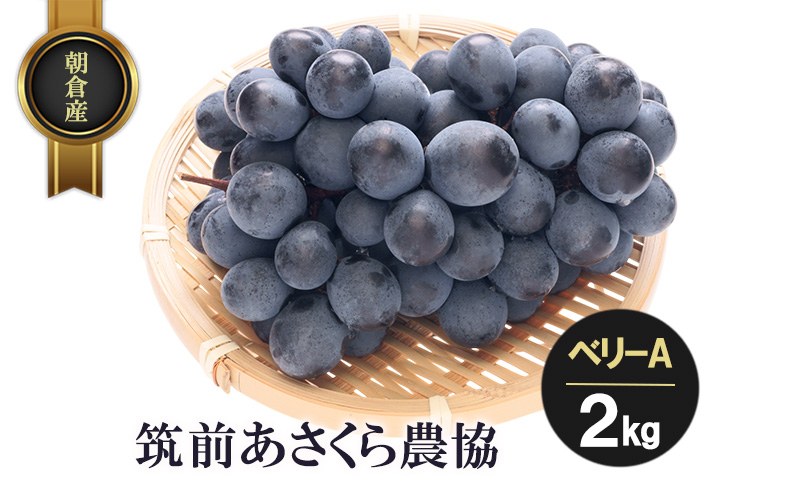 朝倉産 ベリーA 2kg フルーツ 果物 くだもの 筑前あさくら農協 発送予定:2026年7月下旬~8月上旬 ※配送不可:北海道、沖縄、離島