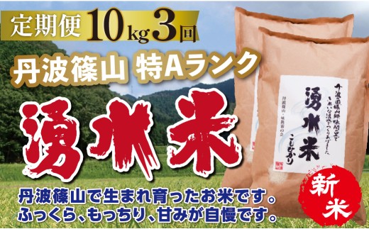 〈定期便 10kg ( 5kg × 2袋 )  3回 特A〉令和8年産 丹波篠山産 特A コシヒカリ 湧水米   | 丹波篠山 お米 おこめ ブランド米 ごはん ご飯 白米 米 コメ こめ 精米 精白米 おいしい米 美味しいお米 兵庫県 お取り寄せ こしひかり コシヒカリ