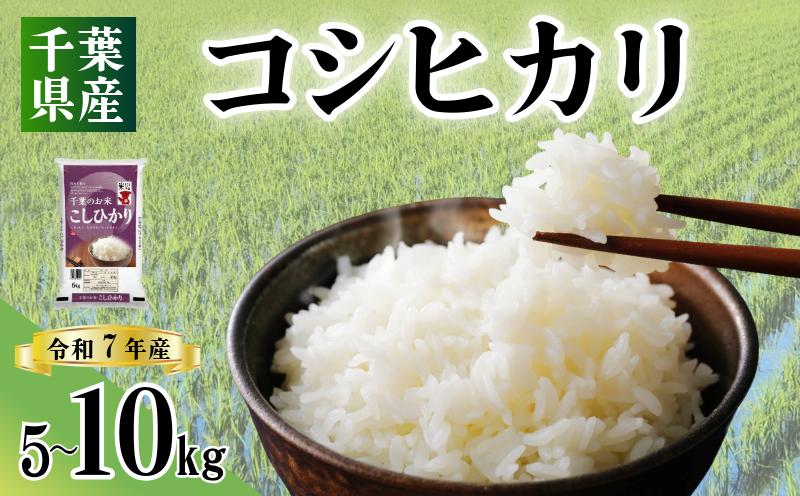 
            令和7年産 米 コシヒカリ 【選べる容量】 5kg 10kg 米 こめ コメ おこめ 白米 お米 こしひかり rice kome ご飯 千葉県産 ブランド米 精米 風味 甘み 美味しい ごはん おにぎり 直送 お試しサイズ 送料無料 ギフト 贈答用 人気 おすすめ こだわり 千葉米 ふっくら 甘い お取り寄せ ふるさと納税 ふるさと納税お米 ふるさと納税米 千葉県 銚子市 総武米穀卸　
          