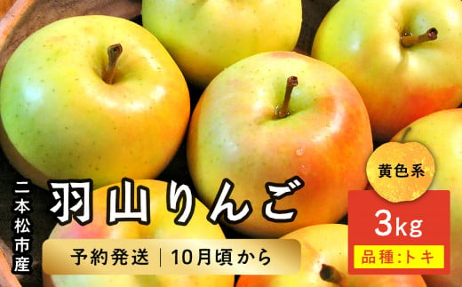 《2024年10月下旬以降発送》羽山のりんご トキ3kg りんご リンゴ 林檎 国産りんご フルーツ 果物 人気 ランキング おすすめ ギフト 故郷 ふるさと 納税 福島 ふくしま 二本松市 送料無料【羽山果樹組合】