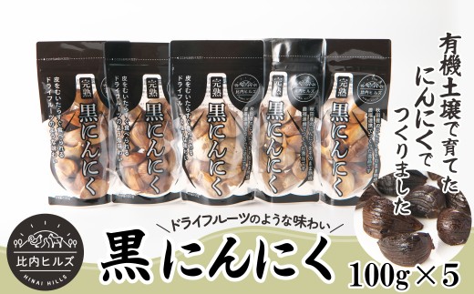 95P5703 比内ヒルズ熟成黒にんにく100g×5袋